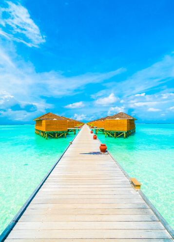 Bali Paradise Tour